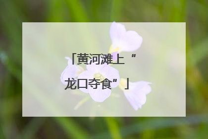 黄河滩上“龙口夺食”