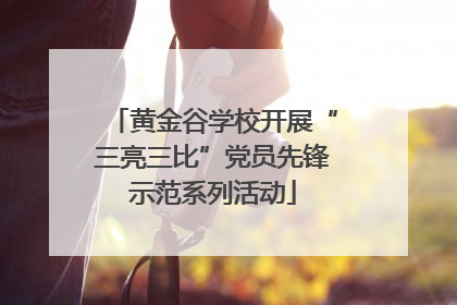 黄金谷学校开展“三亮三比”党员先锋示范系列活动