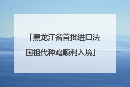 黑龙江省首批进口法国祖代种鸡顺利入境
