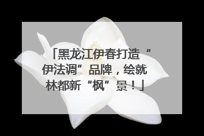 黑龙江伊春打造“伊法调”品牌，绘就林都新“枫”景！