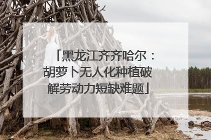 黑龙江齐齐哈尔：胡萝卜无人化种植破解劳动力短缺难题