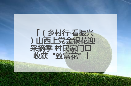 （乡村行·看振兴）山西上党金银花迎采摘季 村民家门口收获“致富花”