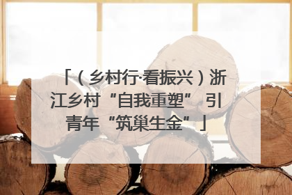 （乡村行·看振兴）浙江乡村“自我重塑” 引青年“筑巢生金”