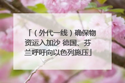 （外代一线）确保物资运入加沙 德国、芬兰呼吁向以色列施压