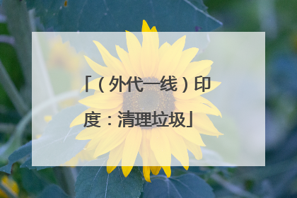 （外代一线）印度：清理垃圾