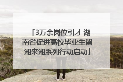 3万余岗位引才 湖南省促进高校毕业生留湘来湘系列行动启动