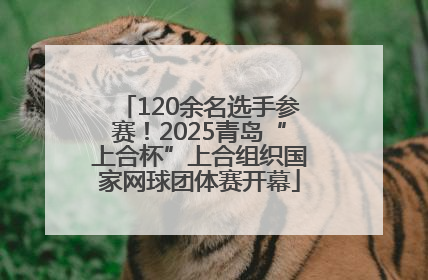 120余名选手参赛！2025青岛“上合杯”上合组织国家网球团体赛开幕