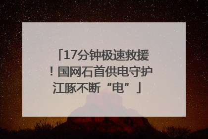 17分钟极速救援！国网石首供电守护江豚不断“电”