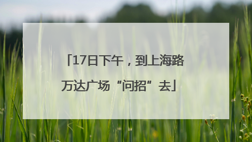 17日下午，到上海路万达广场“问招”去