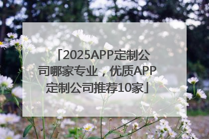 2025APP定制公司哪家专业，优质APP定制公司推荐10家