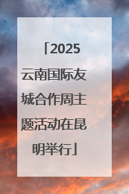2025云南国际友城合作周主题活动在昆明举行