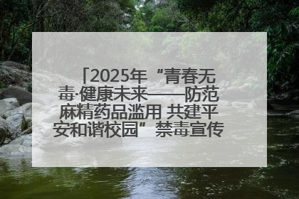 2025年“青春无毒·健康未来——防范麻精药品滥用 共建平安和谐校园”禁毒宣传专题活动在咸宁举行