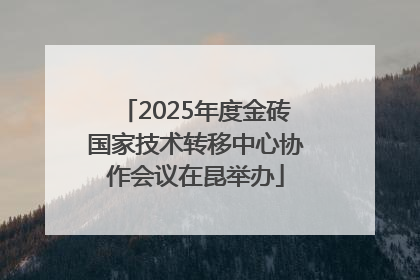 2025年度金砖国家技术转移中心协作会议在昆举办