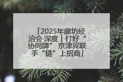 2025年廊坊经洽会·深度丨打好“协同牌” 京津冀联手“链”上招商