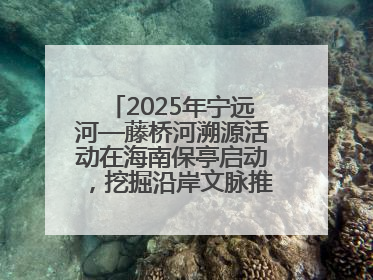 2025年宁远河—藤桥河溯源活动在海南保亭启动，挖掘沿岸文脉推动绿色发展