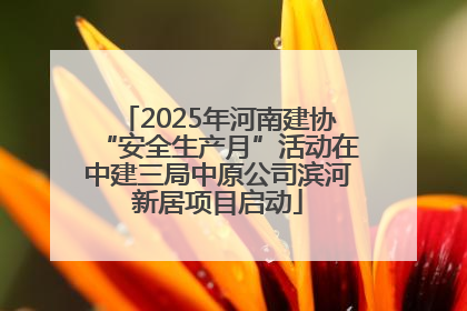 2025年河南建协“安全生产月”活动在中建三局中原公司滨河新居项目启动