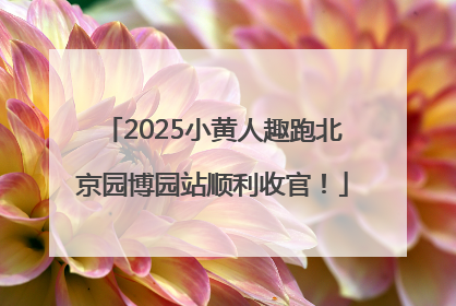 2025小黄人趣跑北京园博园站顺利收官！