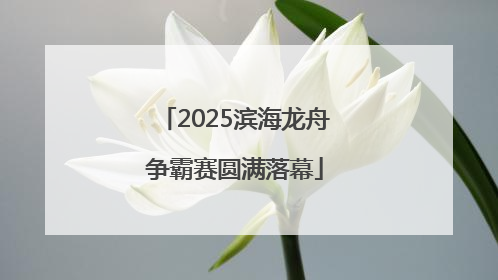 2025滨海龙舟争霸赛圆满落幕