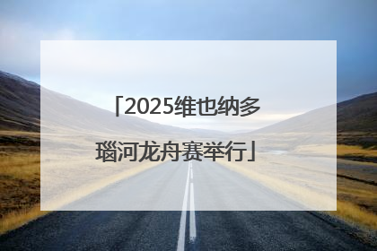 2025维也纳多瑙河龙舟赛举行
