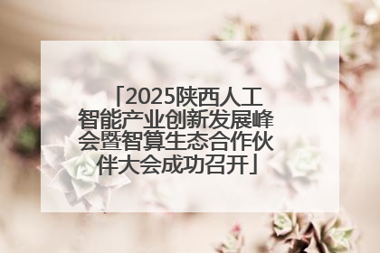 2025陕西人工智能产业创新发展峰会暨智算生态合作伙伴大会成功召开