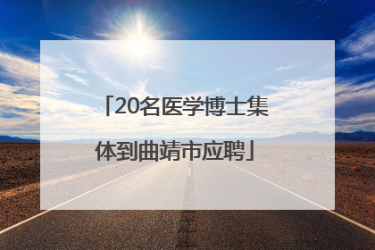 20名医学博士集体到曲靖市应聘