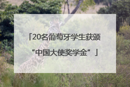 20名葡萄牙学生获颁“中国大使奖学金”