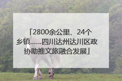 2800余公里、24个乡镇……四川达州达川区政协助推文旅融合发展