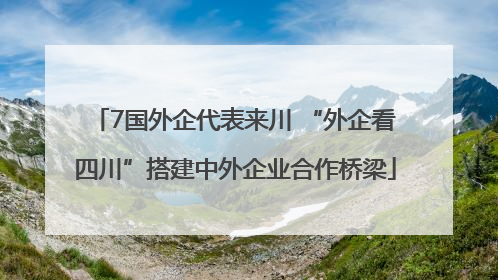7国外企代表来川 “外企看四川”搭建中外企业合作桥梁
