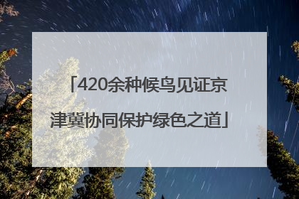 420余种候鸟见证京津冀协同保护绿色之道