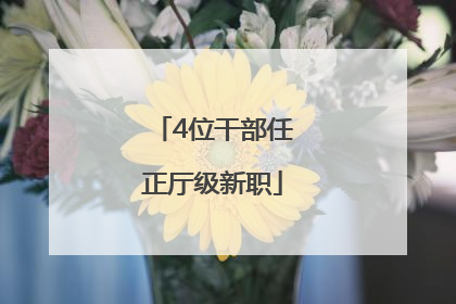 4位干部任正厅级新职