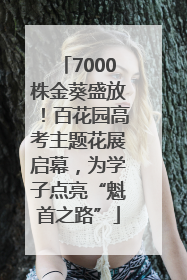 7000株金葵盛放！百花园高考主题花展启幕，为学子点亮“魁首之路”