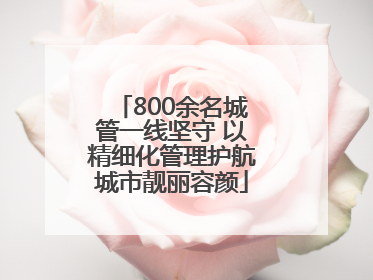 800余名城管一线坚守 以精细化管理护航城市靓丽容颜