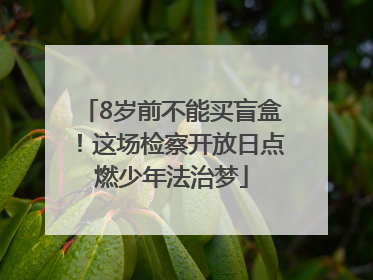 8岁前不能买盲盒！这场检察开放日点燃少年法治梦