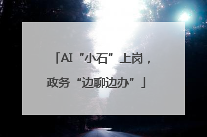 AI“小石”上岗，政务“边聊边办”