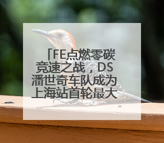 FE点燃零碳竞速之战，DS潘世奇车队成为上海站首轮最大赢家