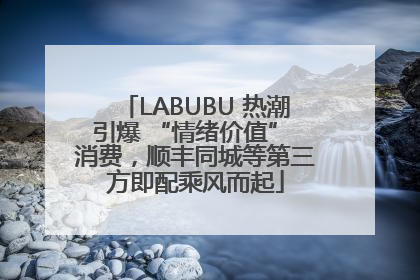 LABUBU 热潮引爆 “情绪价值” 消费，顺丰同城等第三方即配乘风而起