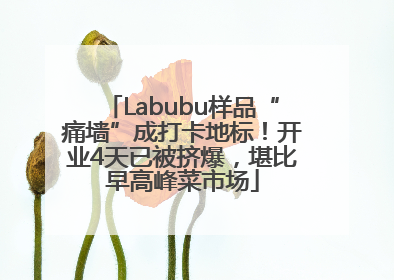 Labubu样品“痛墙”成打卡地标！开业4天已被挤爆，堪比早高峰菜市场
